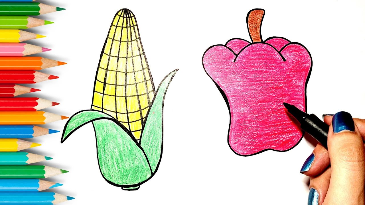 Drawing and Coloring 6 Vegetables easy|How to Draw Vegetables for kids