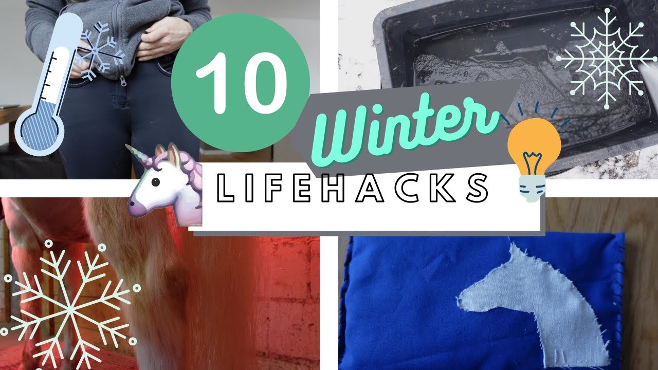 10 WINTER LIFEHACKS für den Stall ❄️ white_ponie_trash