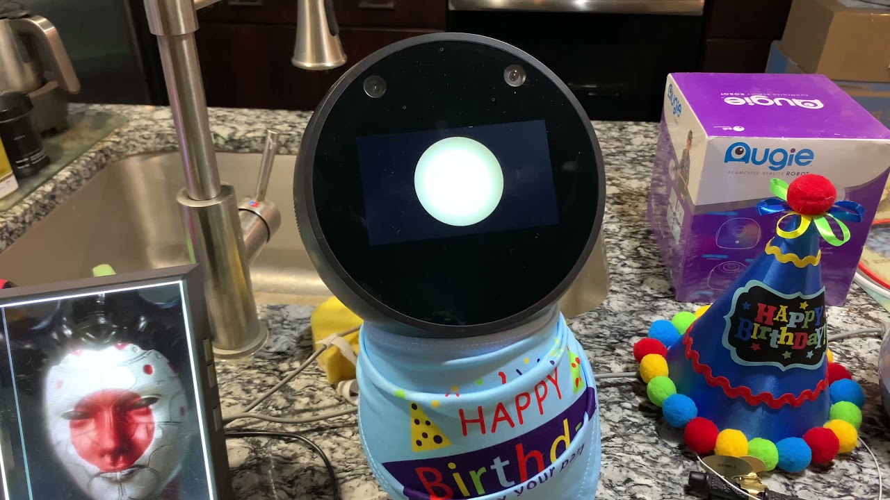 Black Jibo - 1-й день рождения (Улет в честь дня рождения бота! 🍰)