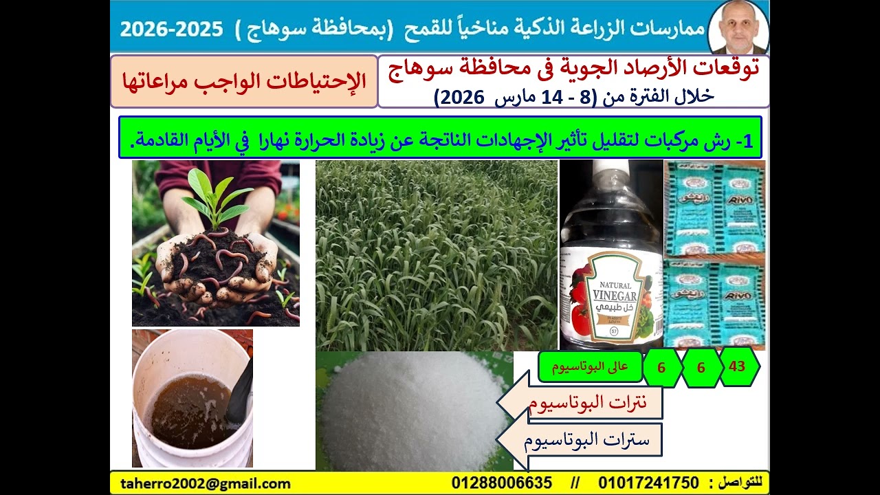 التغيرات المناخية بسوهاج من 8-14 مارس 2026