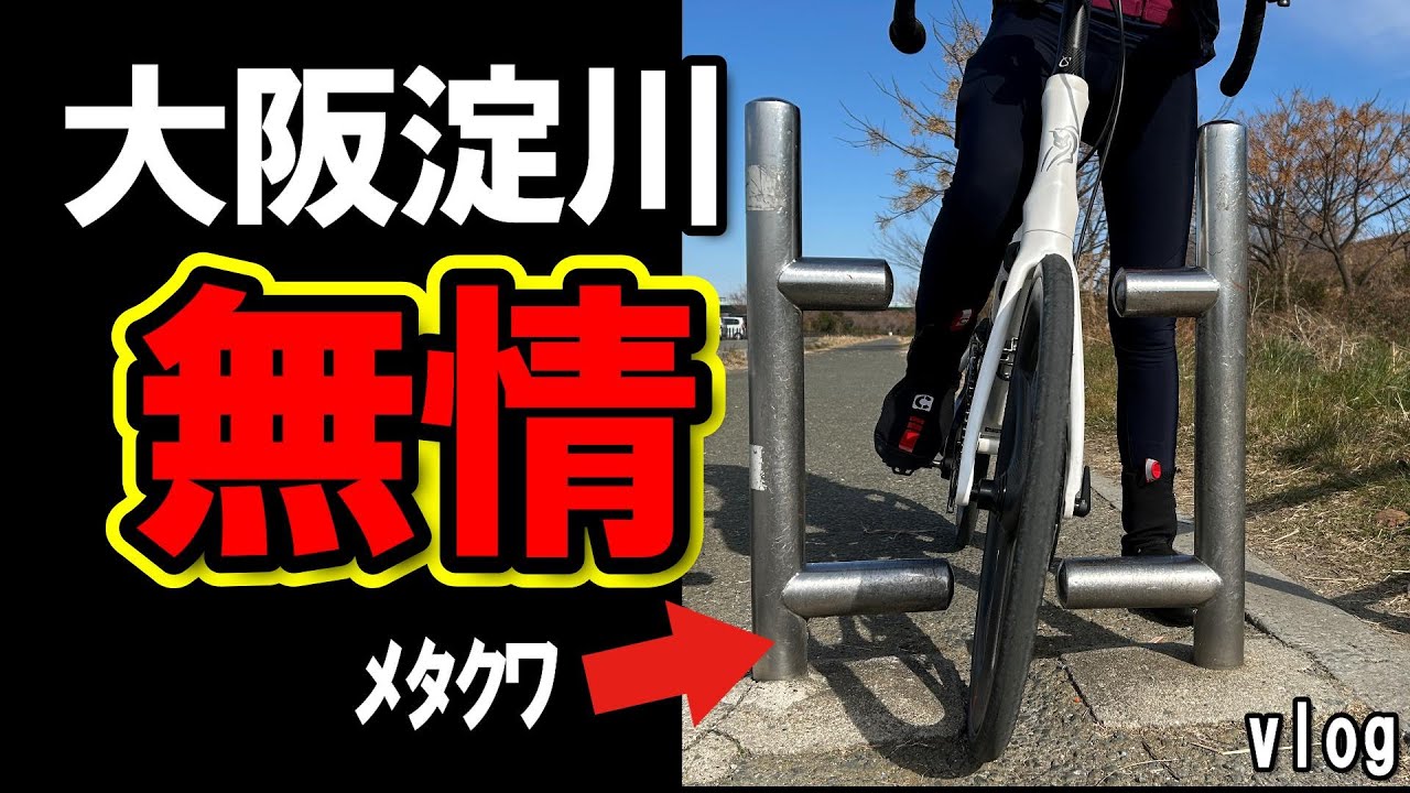 さくらであい館へ淀川サイクリングロードでメタルクワガタと戦うロードバイクや自転車、あぁ無情もう少し幅広げてあげてママさん自転車困ってた・・