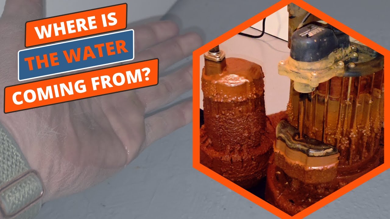 Water on Basement Floor But Sump Pump Is Working? Here’s Why (Nova Scotia)