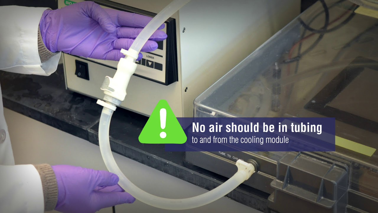 What is Pulse Field Gel Electrophoresis?
