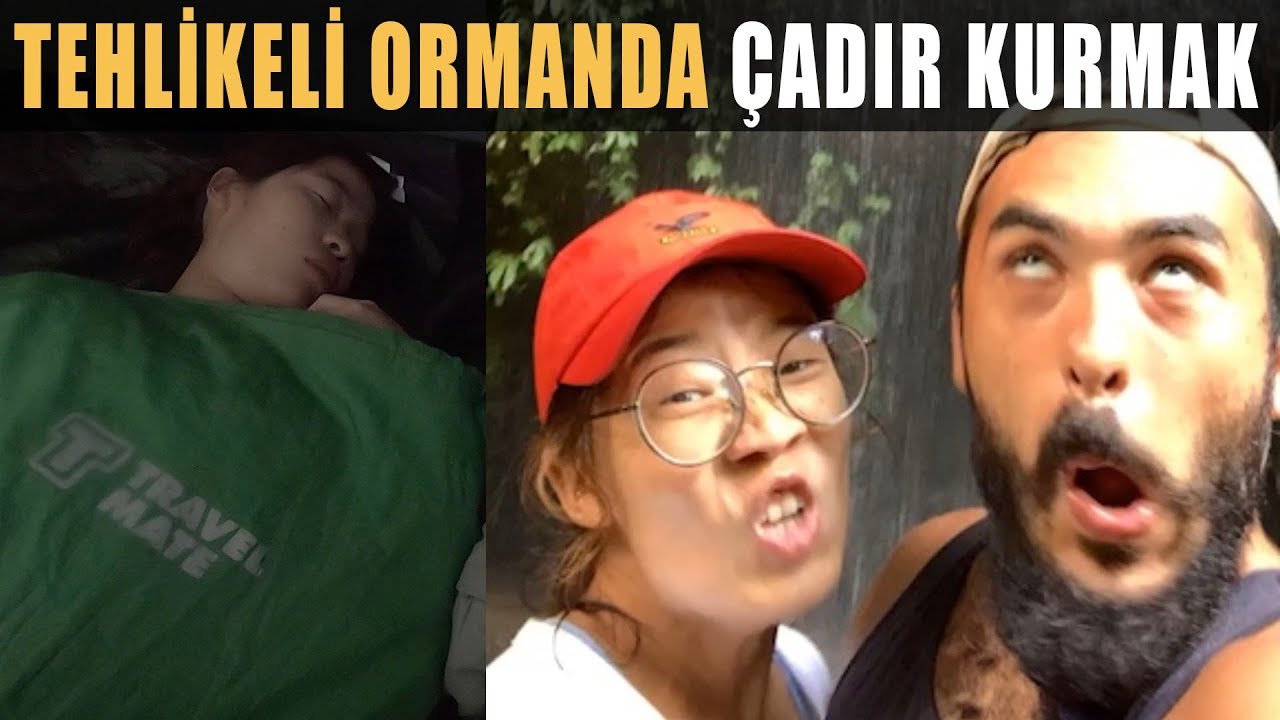 Tehlikeli Ormanda Çadır Kurmak !! (Başınıza Neler Gelebilir) ~177