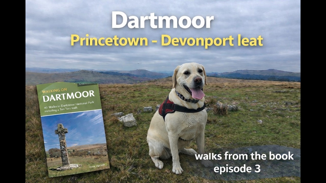 I took my dog for a scenic walk around Princetown on Dartmoor 🐕🏞
