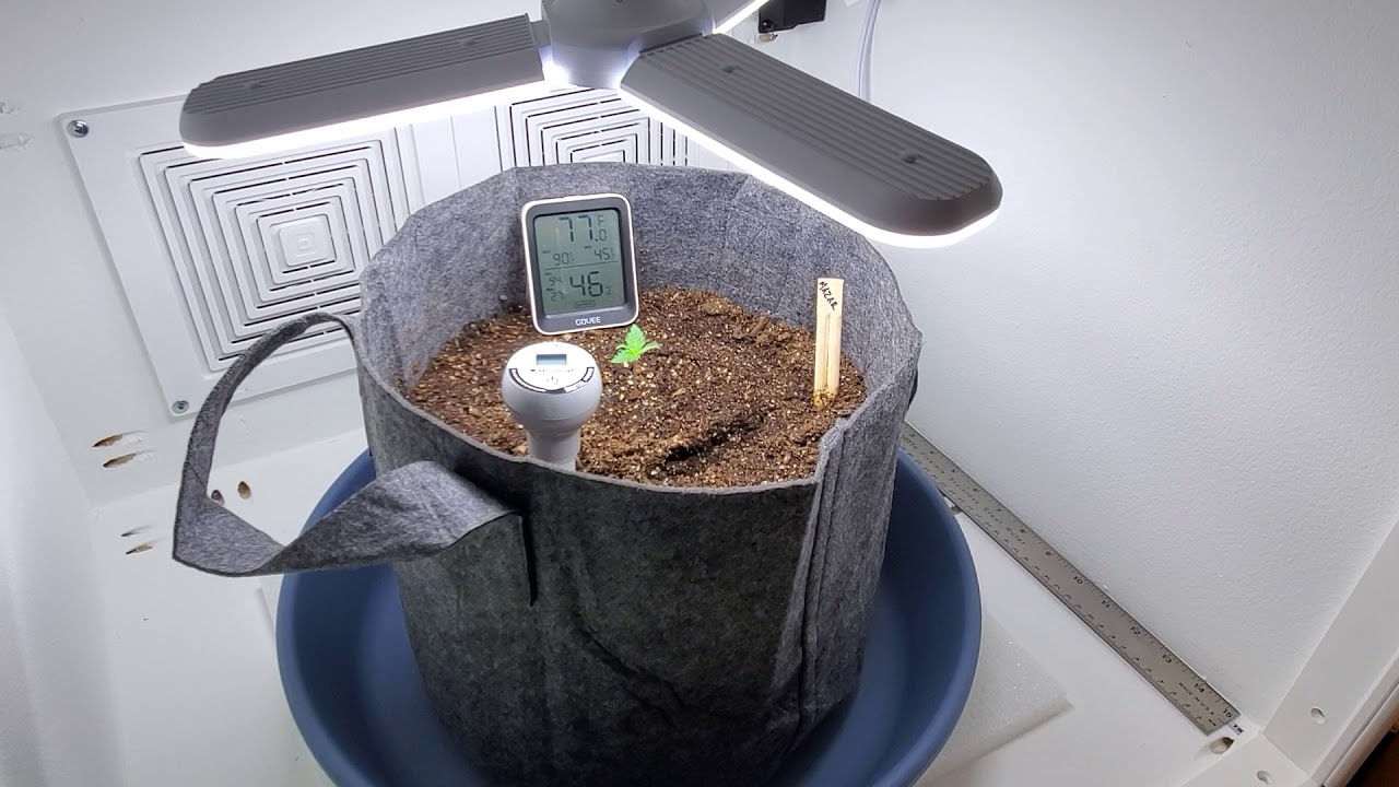 BlumenBot DZ1 Stealth Micro Grow Cabinet - Introduction