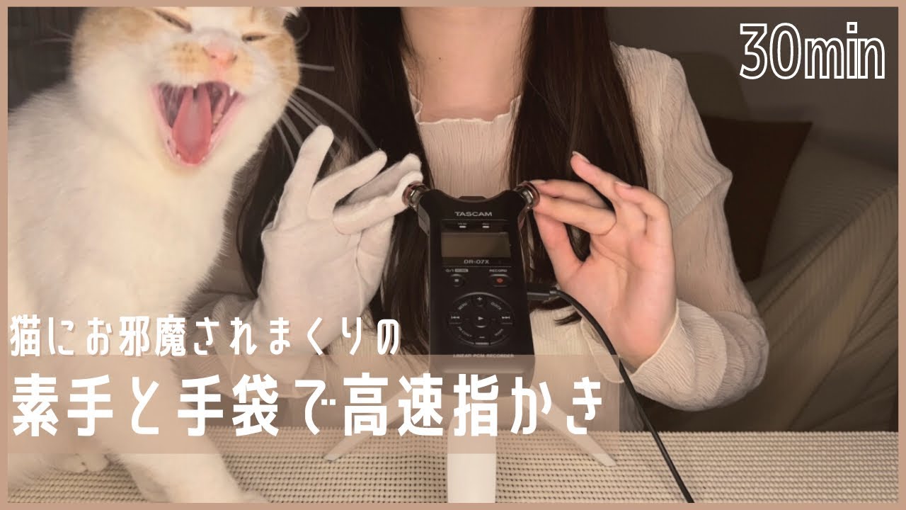 ASMR | 素手&手袋で雑な高速指かき🐈両耳同時の耳かきでゾワゾワしまくり🫧 TASCAMで30分耐久！finger ear cleaning 【睡眠導入】