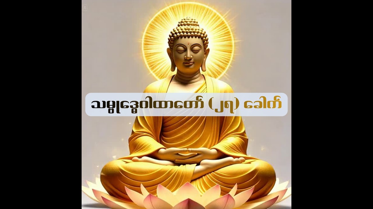 ခပ်သိမ်းကုန်သော ဘေးရန်အပေါင်းကို ပယ်ဖျက်တတ်သော တောင်ကျွန်းသမ္ဗုဒ္ဓေ (၂၇)ခေါက်#အေးရိပ်ဆာယာ#တရားတော်