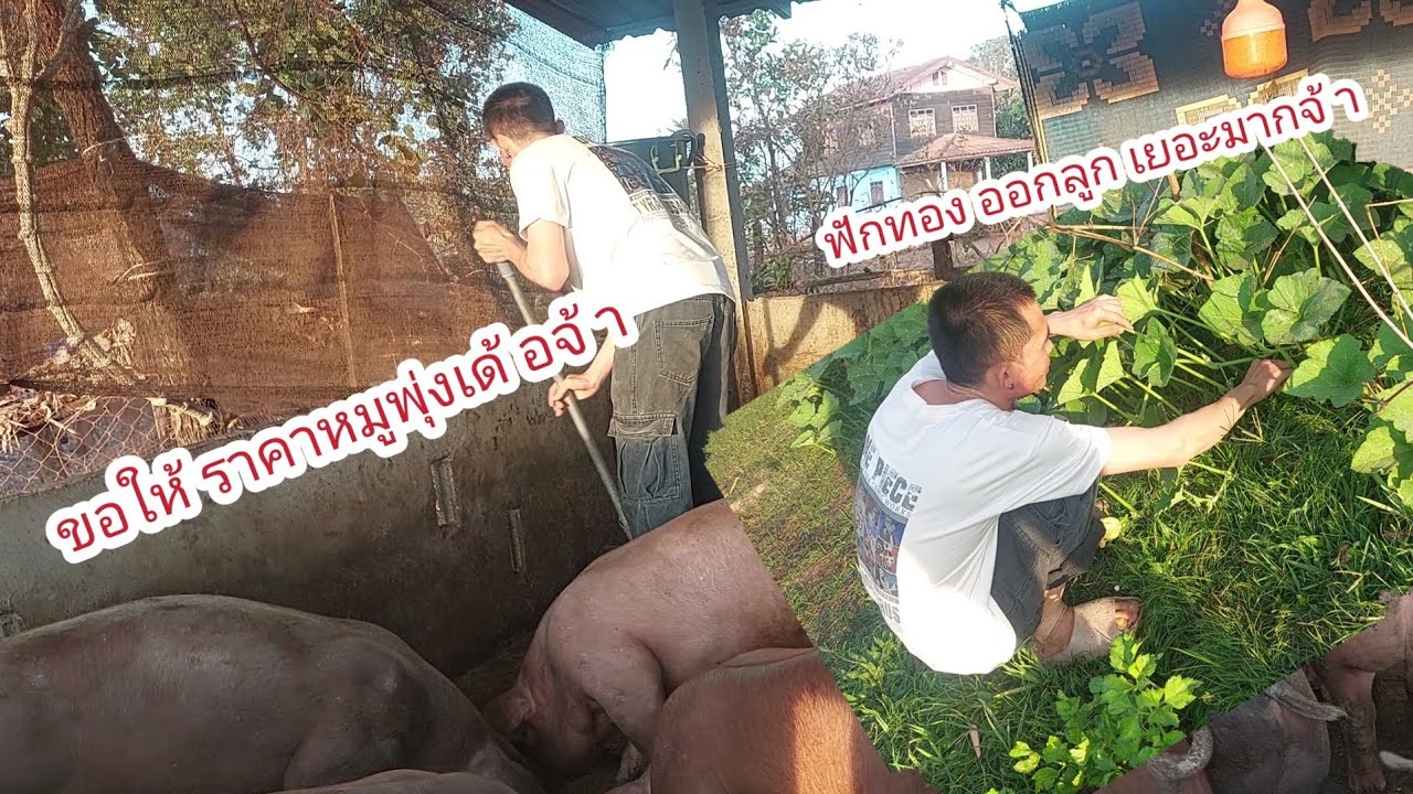 วันงานผูกแขนใกล้เข้ามาแล้วจ้า