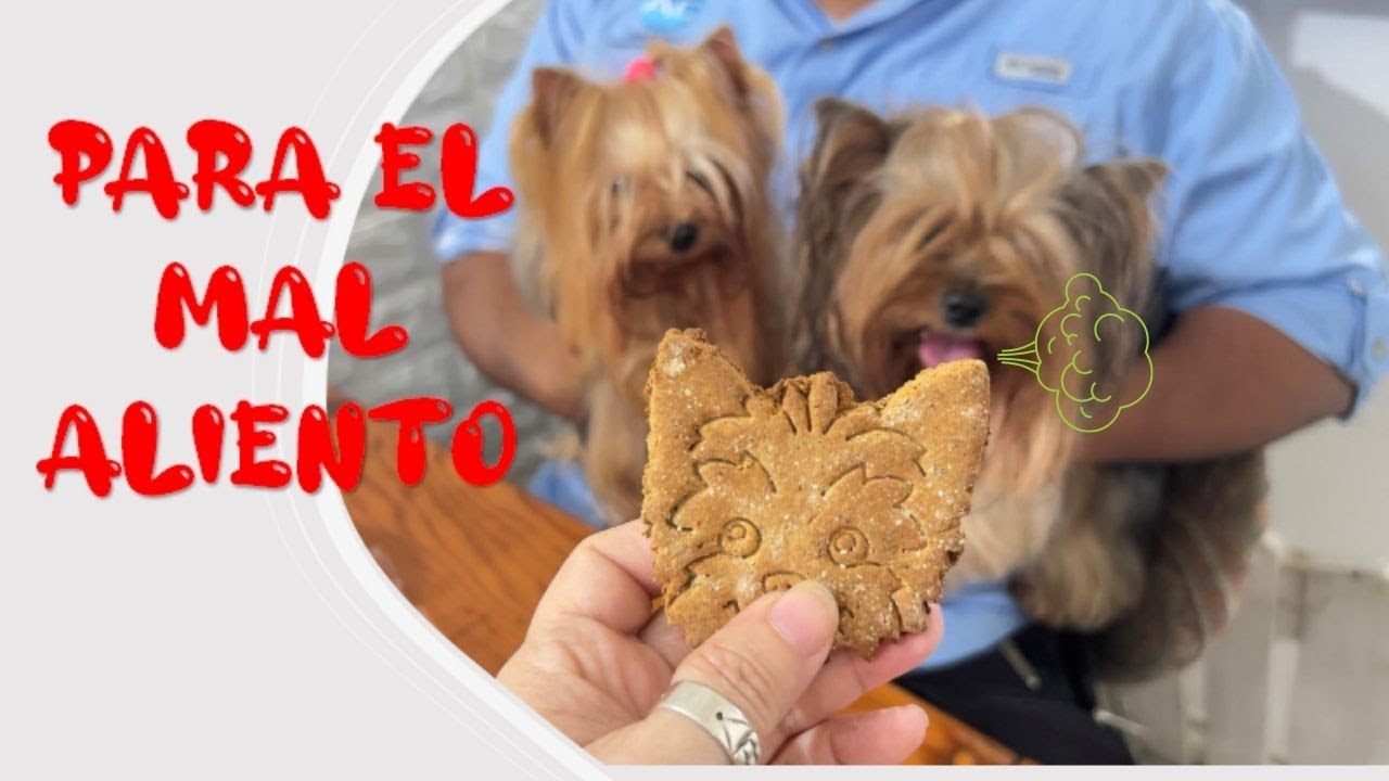 Galletas para El MAL ALIENTO de tu PERRO