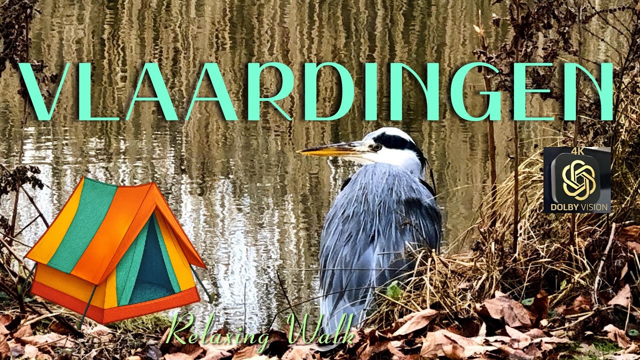 Relaxing Nature Walk in OranjePark, Vlaardingen | Bird Watching & Duck Pond [4K HLG HDR]