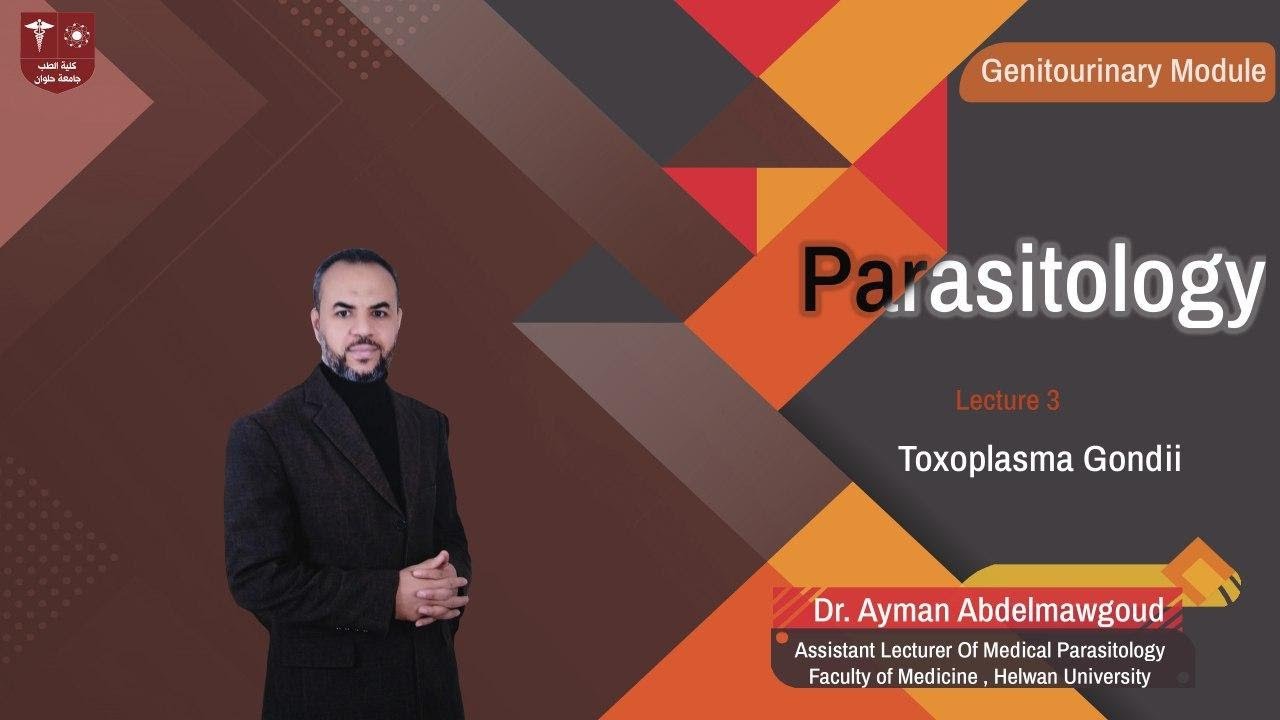 3.Toxoplasma Gondii