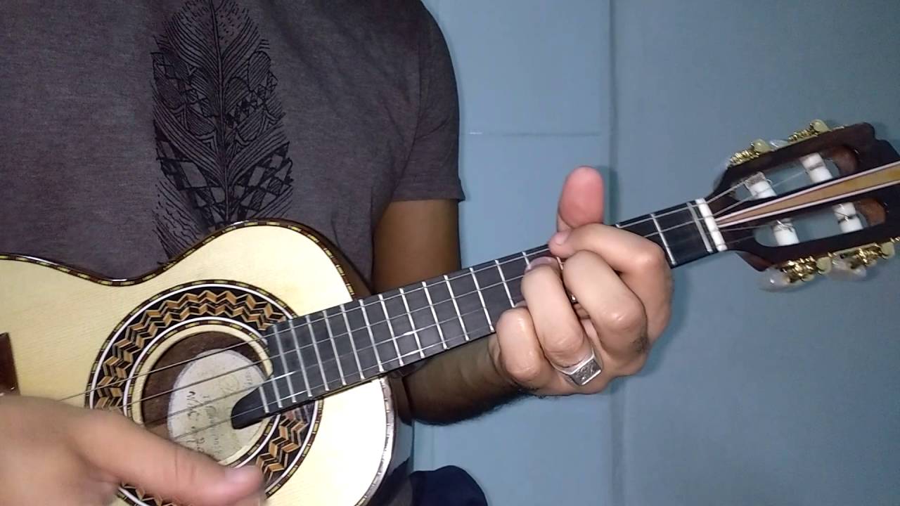 Planta Imortal - Roberto Ribeiro