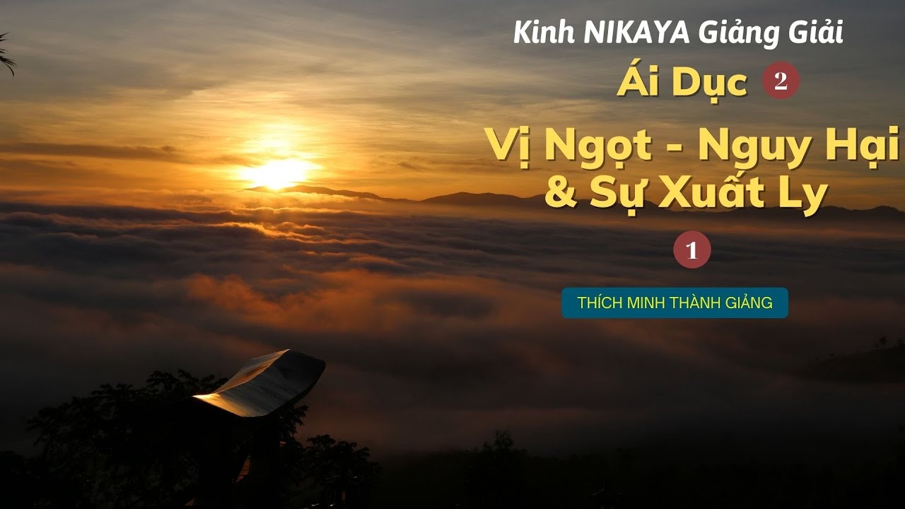 Kinh NIKAYA Giảng Giải - Ái Dục 2 - Vị Ngọt - Nguy Hại & Sự Xuất Ly 1