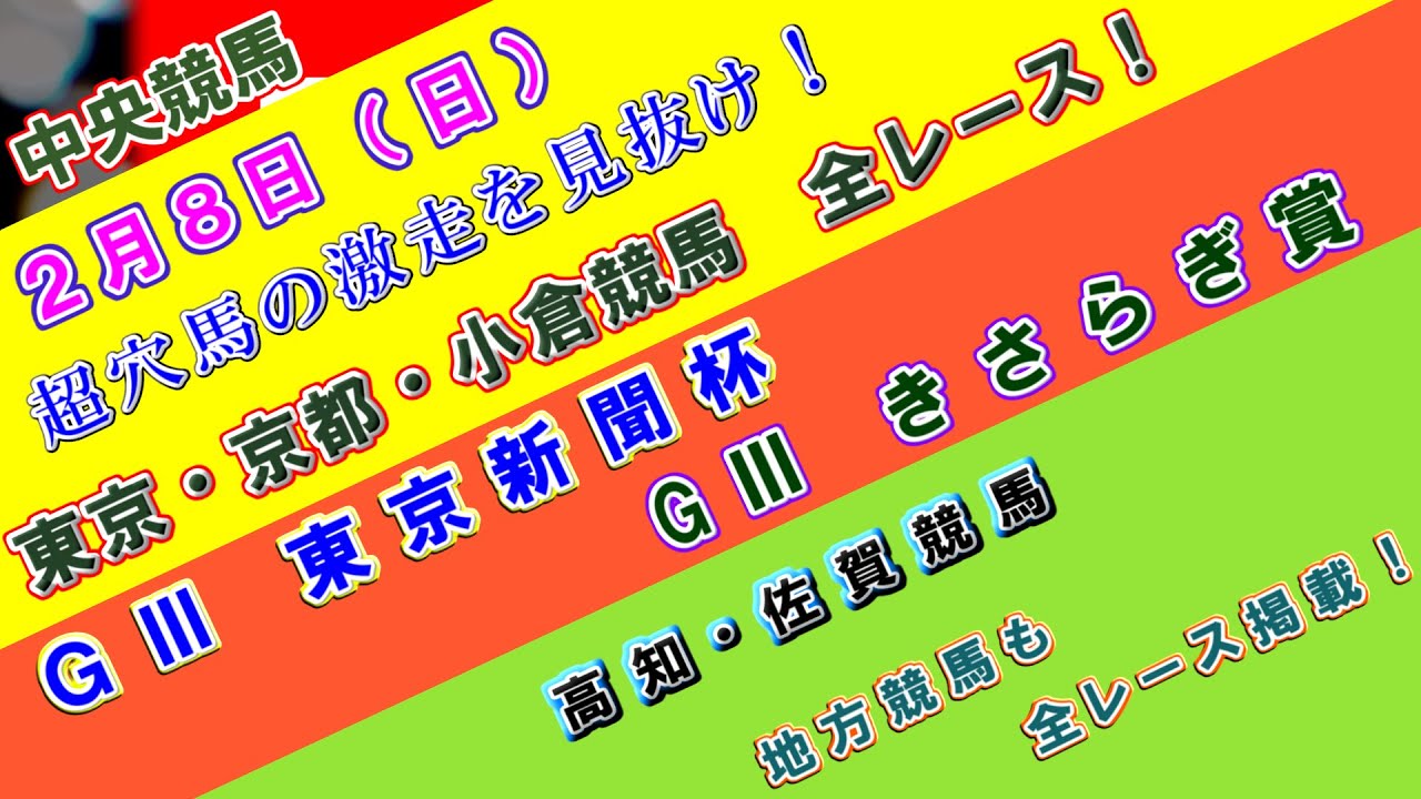 【競馬予想】競馬波乱予報　２月８日（日）　中央競馬＆地方競馬　全レース予想！
