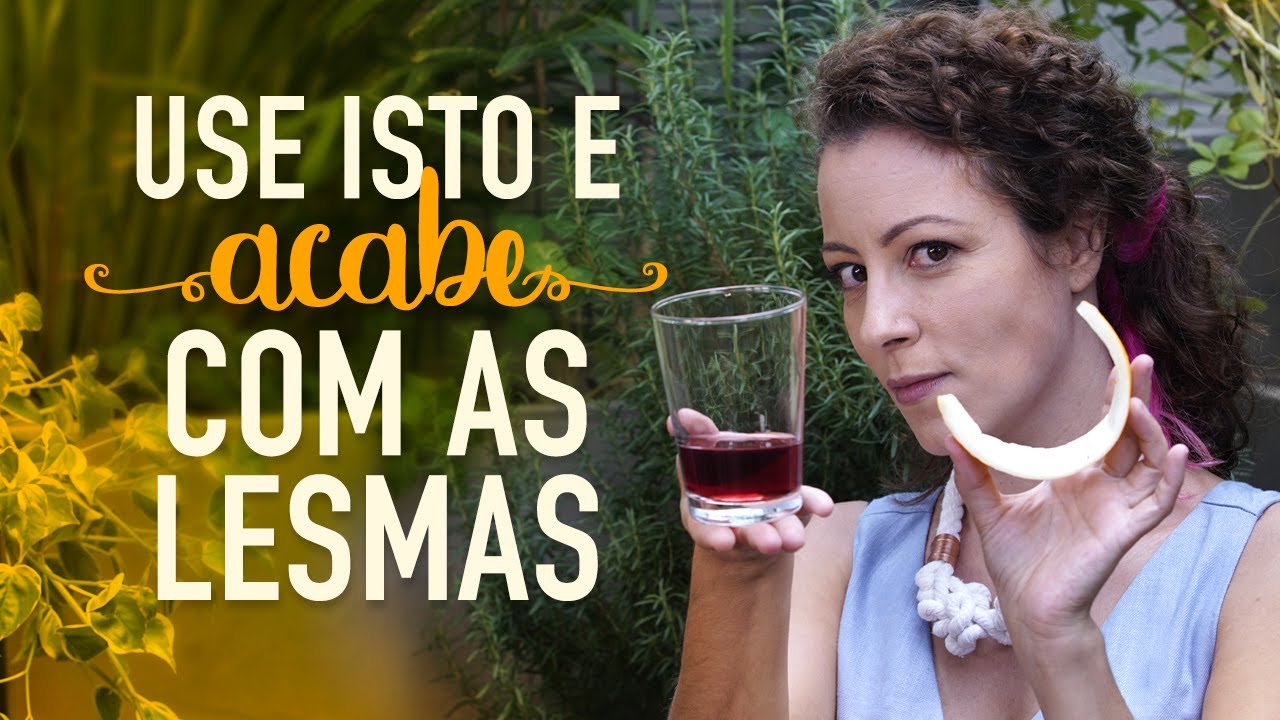 Como se livrar de LESMAS e CARACÓIS na PLANTAS