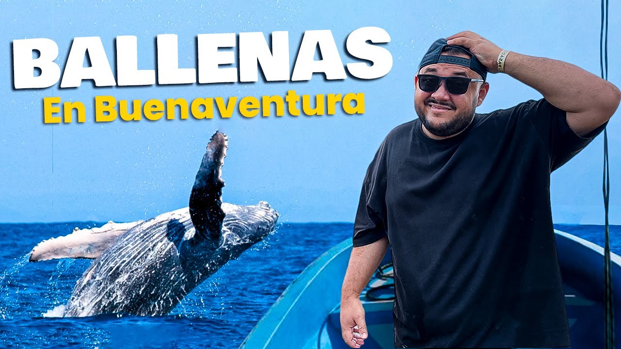 Fuimos a ver BALLENAS ¡Nos pasó de todo!