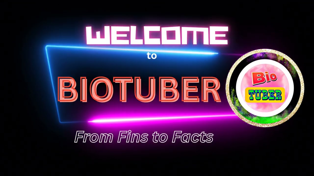 Welcome to BIOTUBER 2.0 | New Journey Begins 🎬🐠