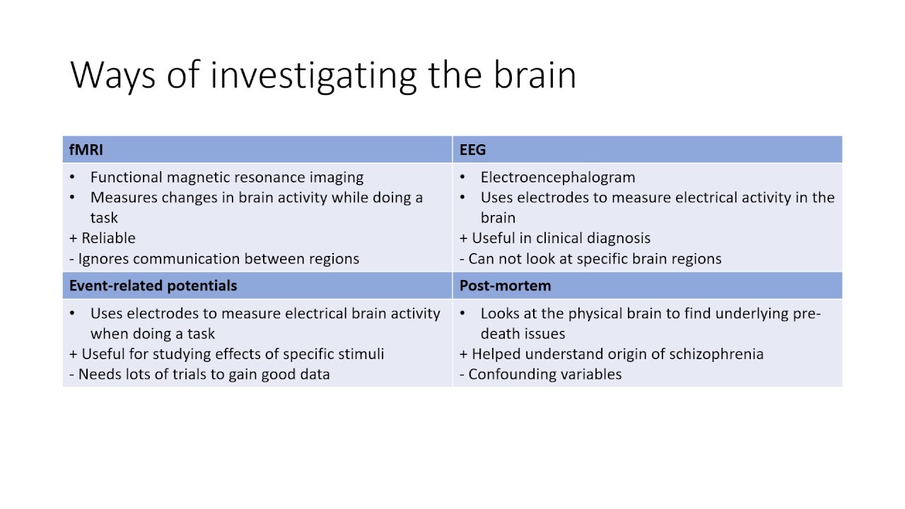 AQA A-Level Psychology - Paper 2: Biopsychology