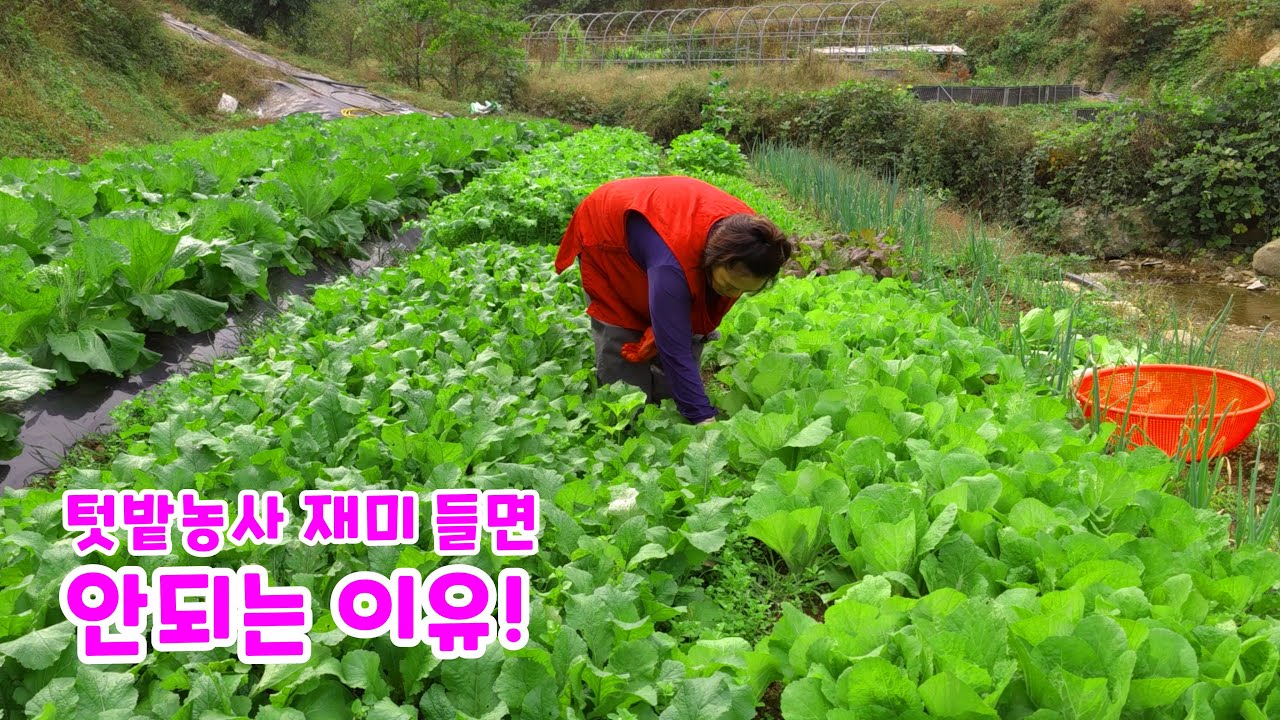 Почему садовое хозяйство не должно приносить удовольствие 😂