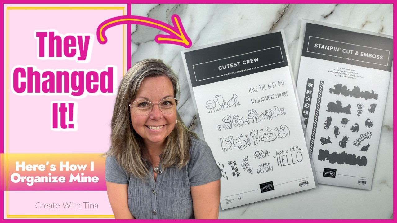 Новый органайзер для упаковки от Stampin' Up! | Как я его храню