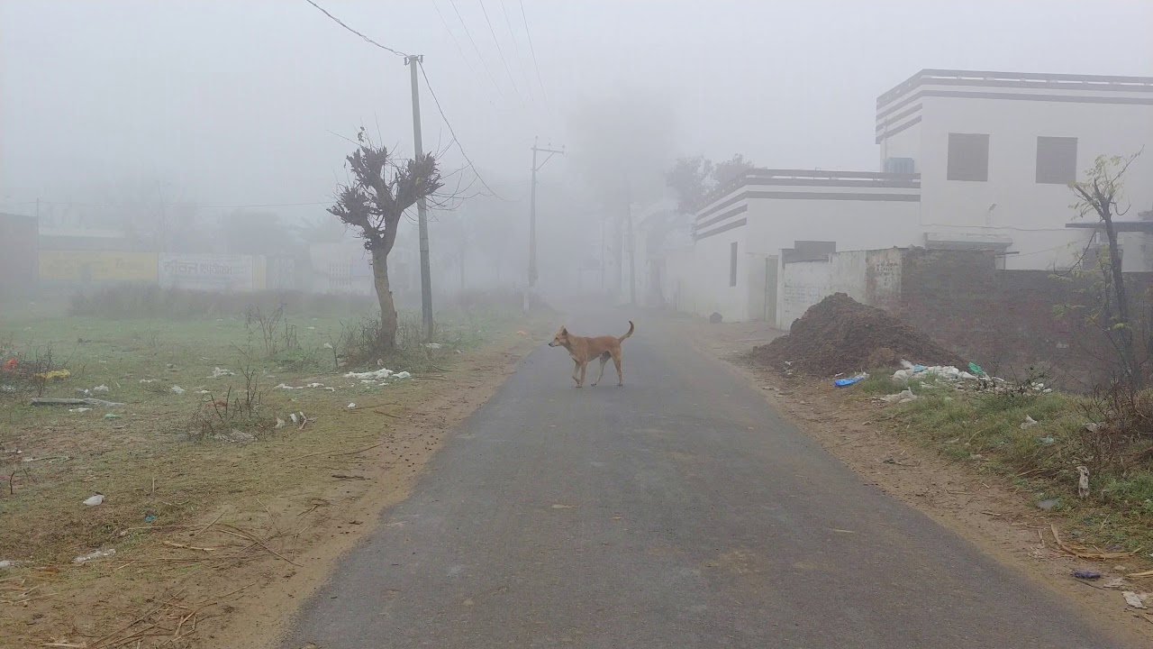 Moron Pind Walk 2