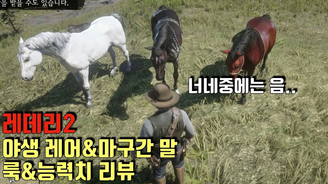 [레데리2] 야생 레어&마구간 말 리뷰 1편 - 룩&능력치 리뷰