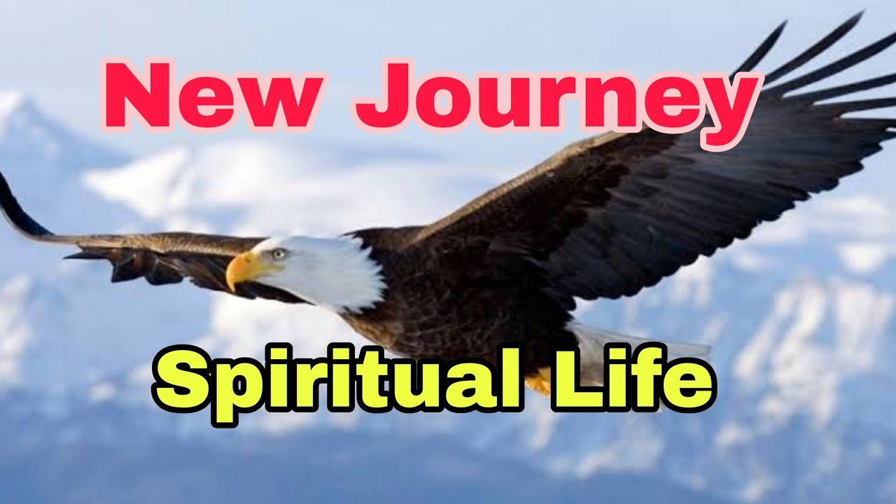 New Journey#Big Happy Changes Coming Towards You#destinytarot🦋🦅