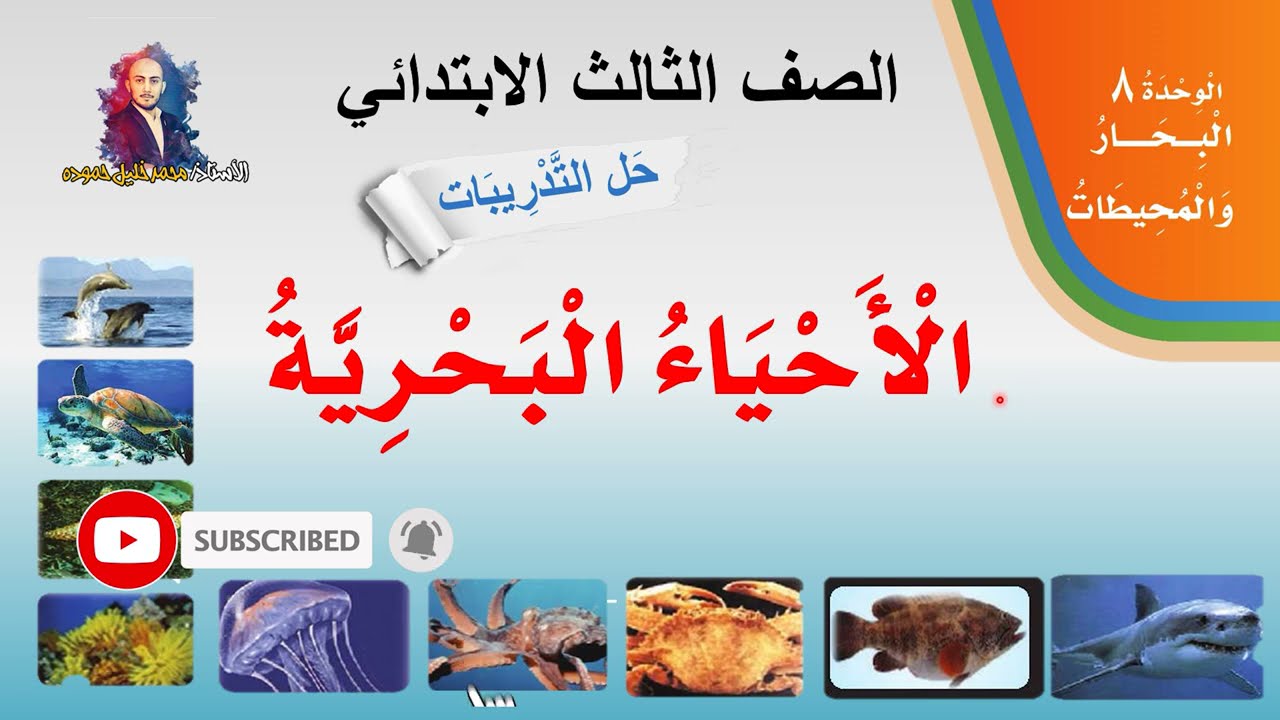حل تدريبات درس ( الأحياء البحرية ) صفحة 157-167 لغتي الصف الثالث الابتدائي ف2  1442هـ