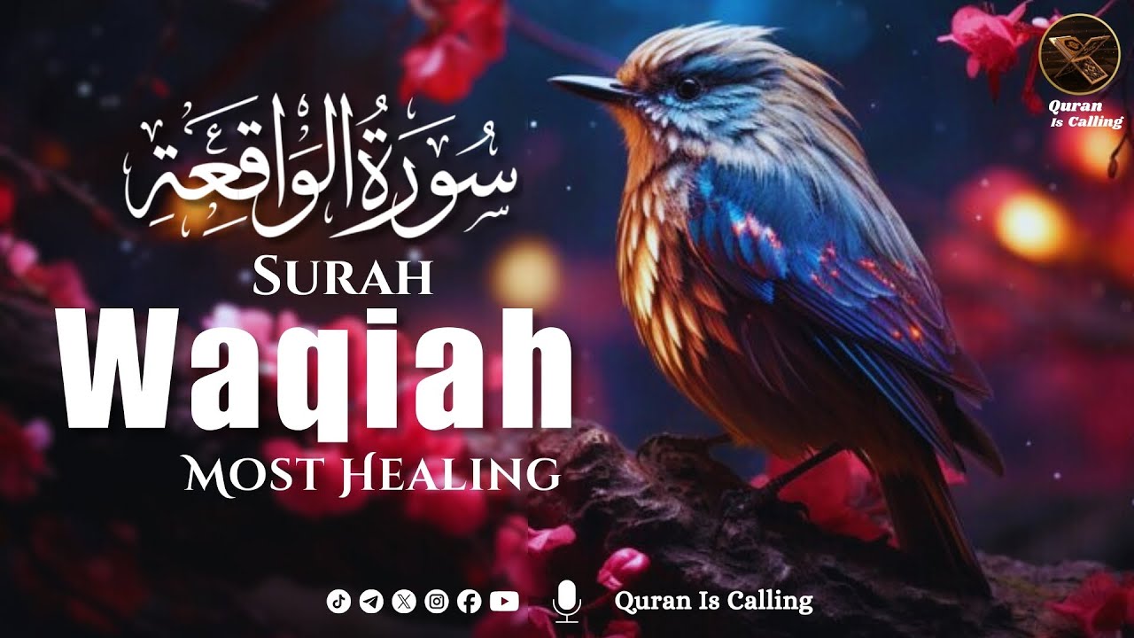 Surah Waqiah Surat Waqiah | سورة الواقعة | Quran is Calling | Soothing