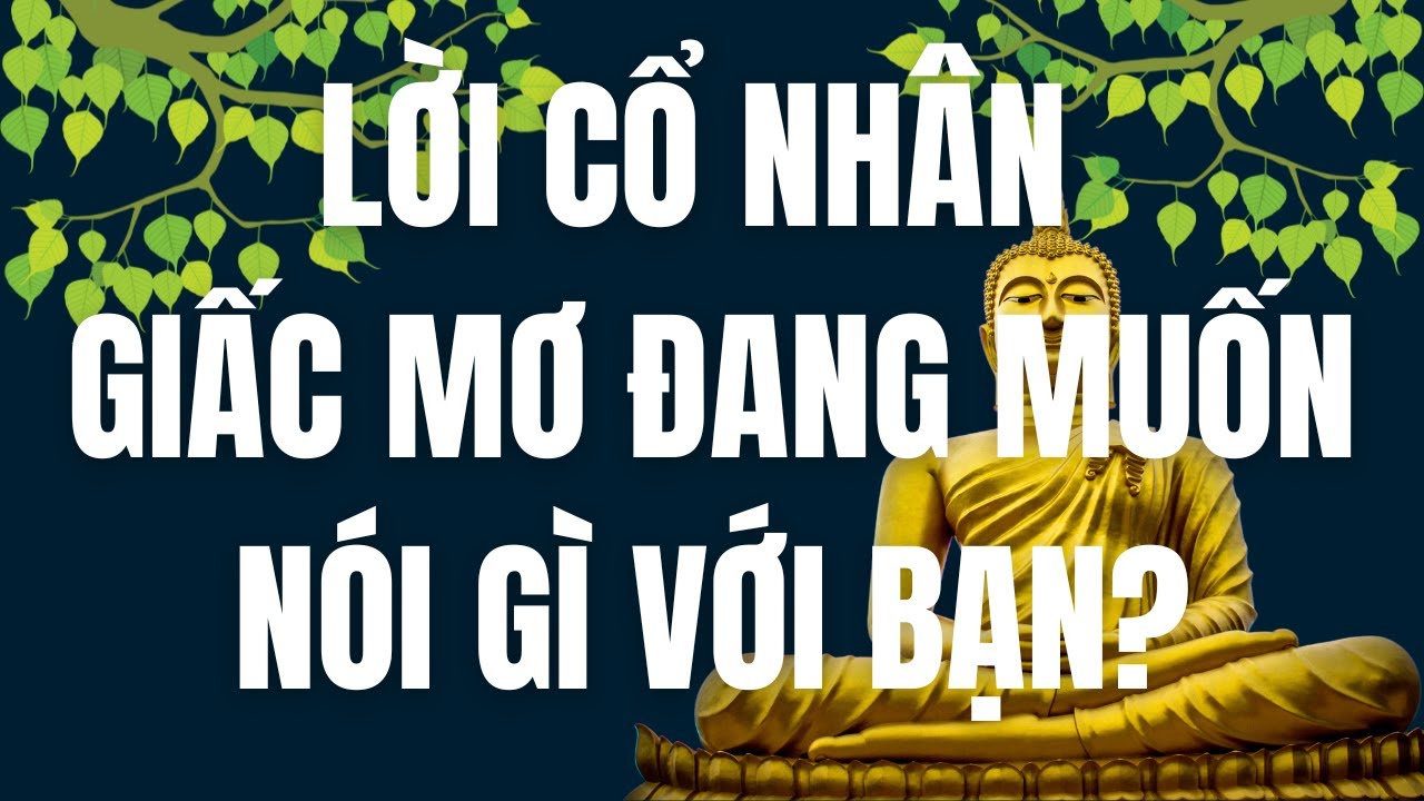 Giấc Mơ Là Thông Điệp Từ Não Bộ Hay Tâm Thức?