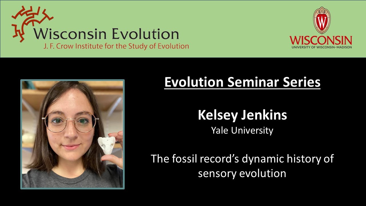 Kelsey Jenkins: The fossil record's dynamic history of sensory evolution