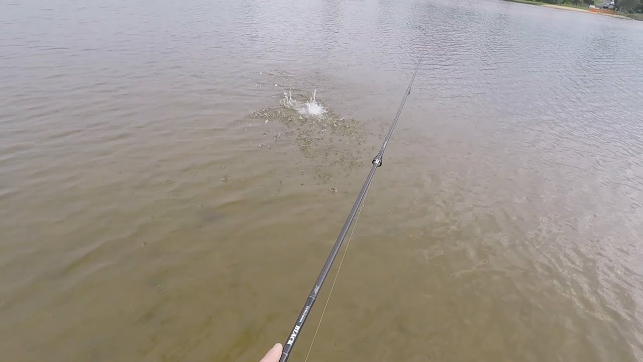 How to catch WHITING ON SURFACE: Fishing Narrabeen Lagoon