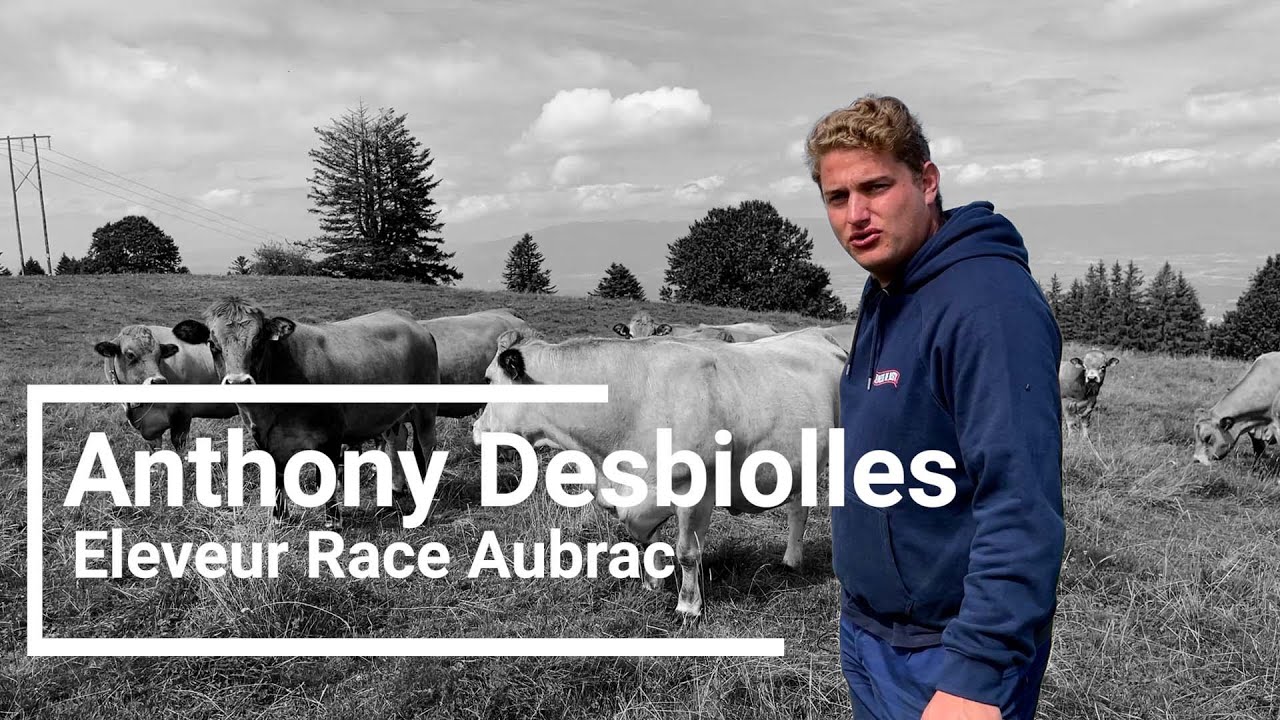 La race Aubrac : une passion transmise de père en fils, avec Anthony Desbiolles