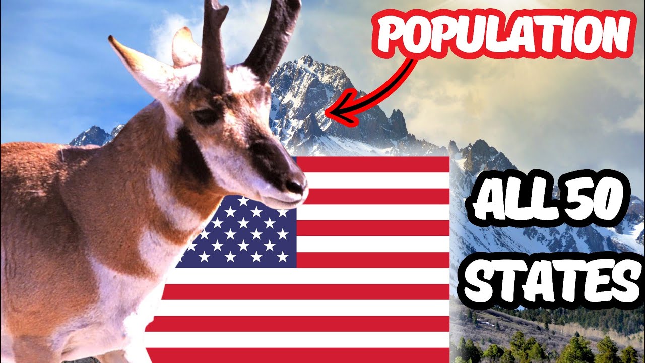 The pronghorn antelope population in each state of America