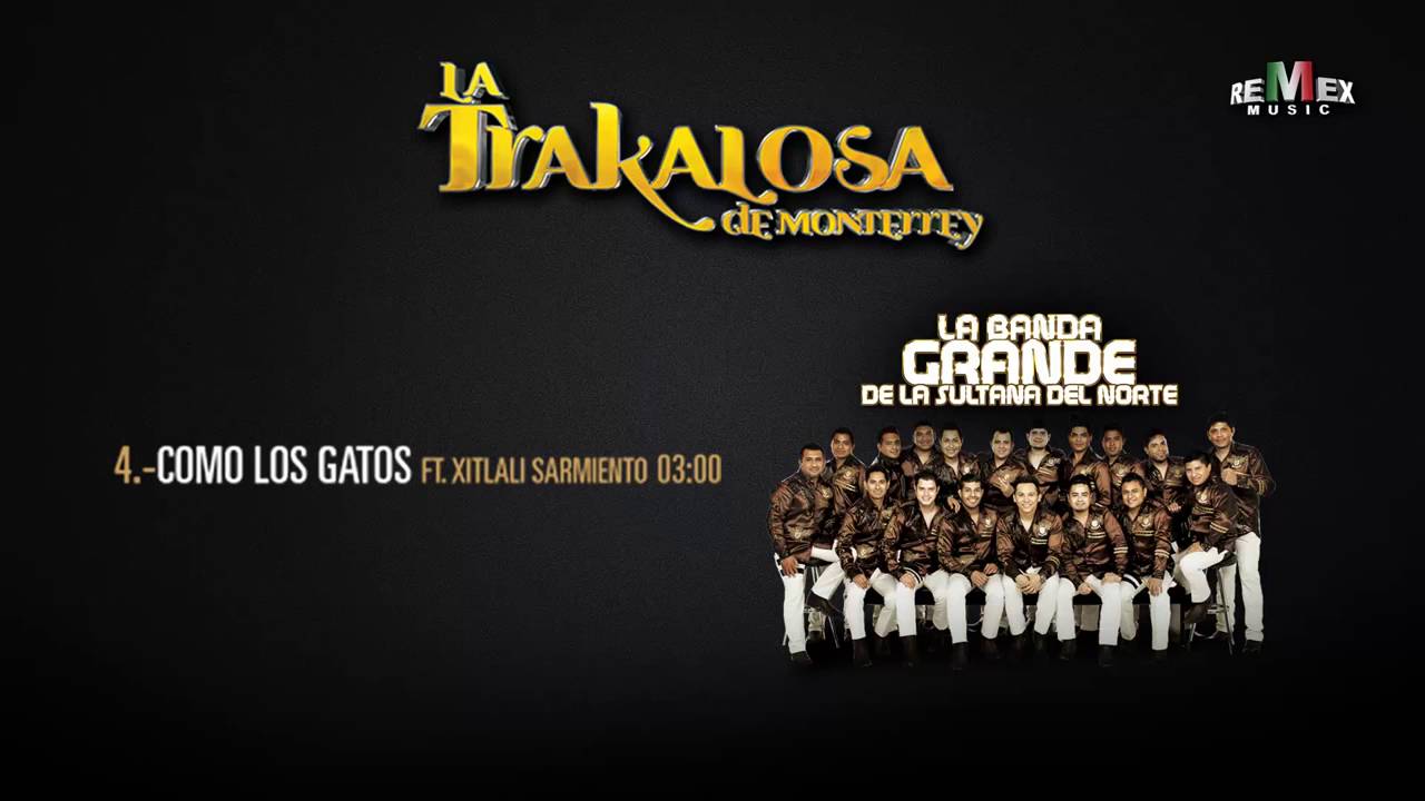 Como los Gatos (feat. Xitlali Sarmiento) - La Trakalosa de Monterrey (Audio Oficial)