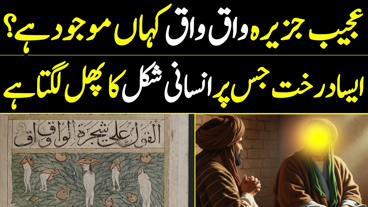 Jazeera Waq Waq Kya Hai ? | جزیرہ واق واق کیا ہے ؟ | Ajaib Ul Makhluqat | Book Of Wonders | ATK