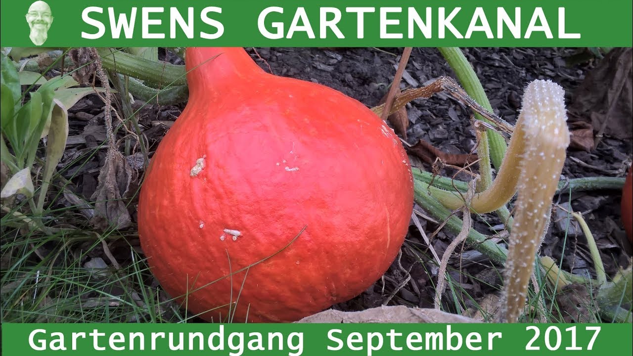 Gartenrundgang September 2017
