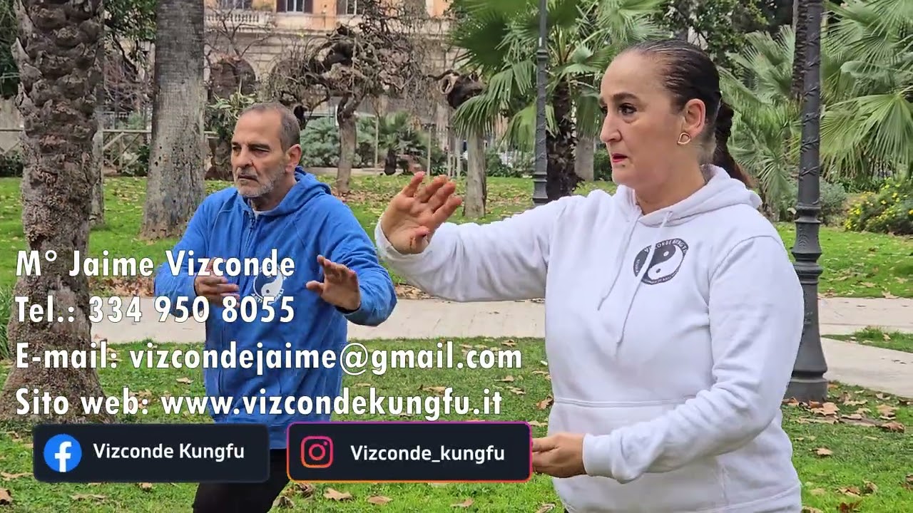 Trova il tuo equilibrio con il Tai Chi Chuan: lezioni private con il Maestro Jaime Vizconde