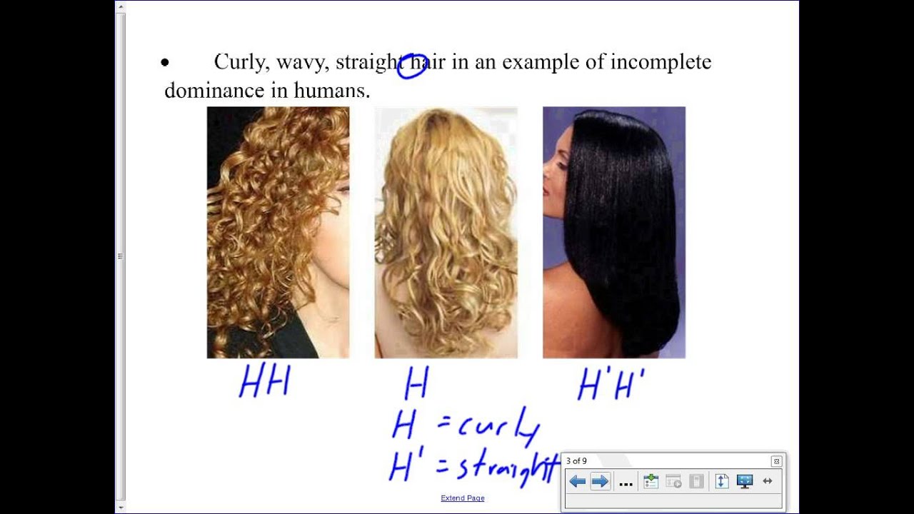 Mr. Walker's Biology 30 Incomplete Dominance, Codominance, Multiple Alleles Lesson