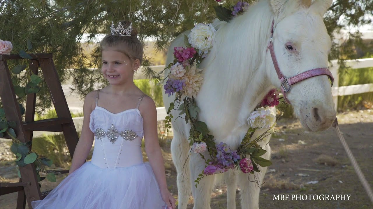 UNICORN PHOTO SESSION, UNICORN PHOTOGRAPHY