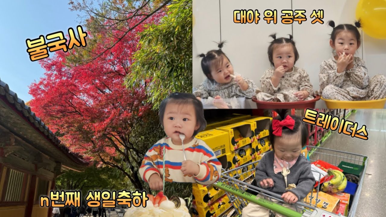 11월 첫째, 둘째 주 일상모음 📂 가족들과 함께 •  불국사 나들이 • 트레이더스 장보기 