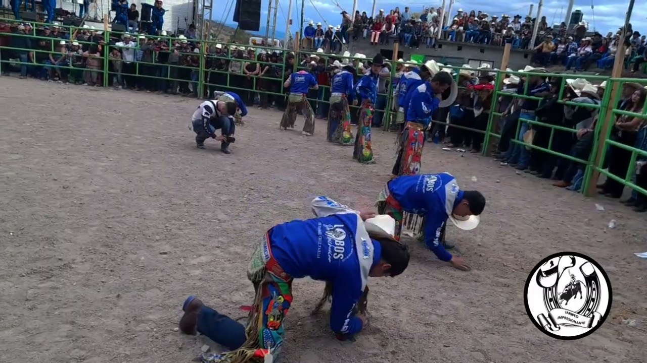 Jaripeo impresiónate Colonia independencia el ARQUITO Rancho los sebastianes