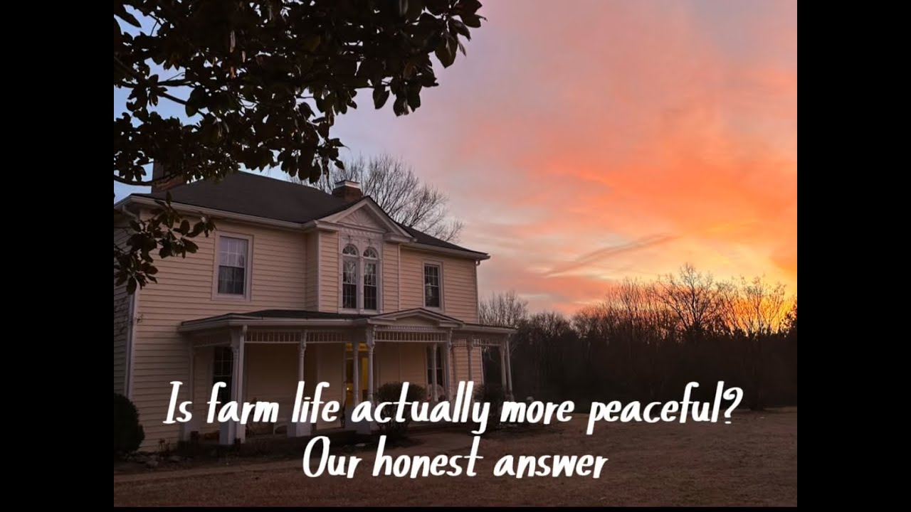 Is farm life more peaceful? Our honest answer
