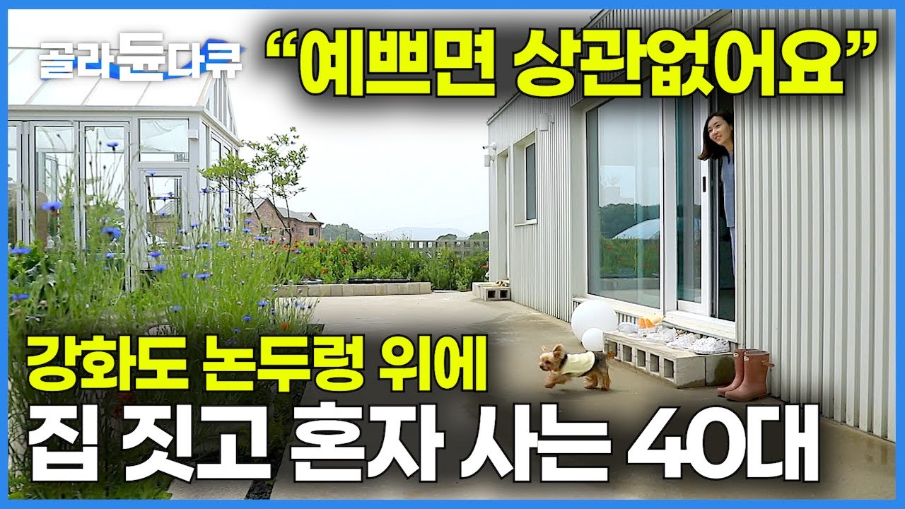 🌿식물은 잔뜩, 강아지 뛰어놀 마당 있는 예쁜 집을 짓기 위해, 강화도 논두렁 위에 집을 지은 40대｜마흔 살, 자연과 함께하는 예쁜 집을 짓고 싶었어요｜건축탐구 집｜#골라듄다큐