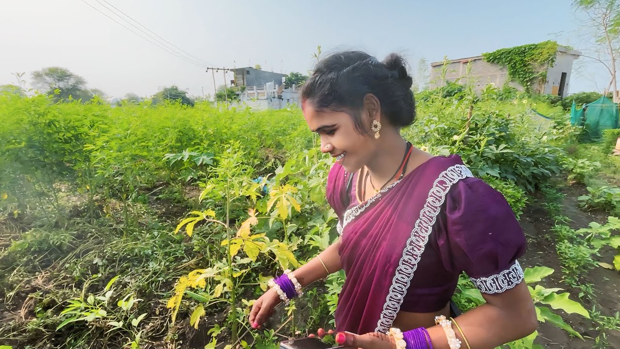 ससुराल में व्लॉग 2 राहर और फ़ल्ली के खेती 🤪