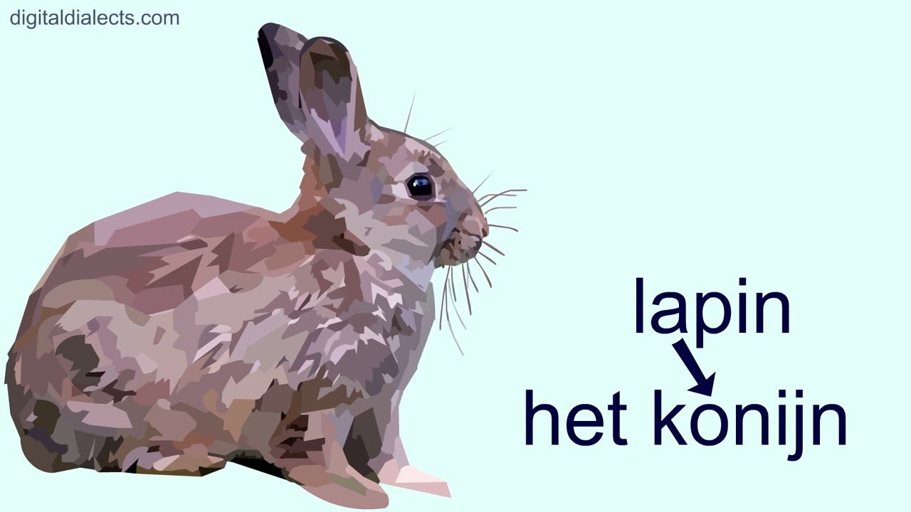 Les animaux en néerlandais