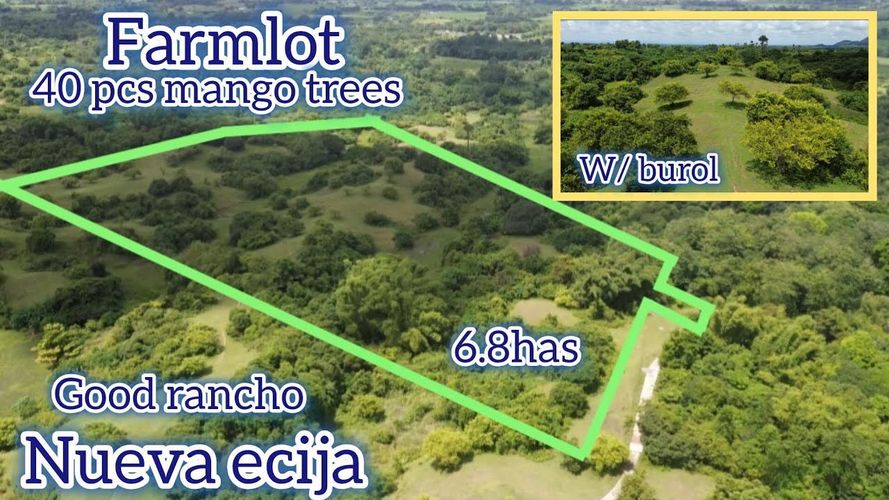Lot#706 Residential farmlot w/mango trees, w/ burol gandang gawing rancho, alagaan mg hayop.