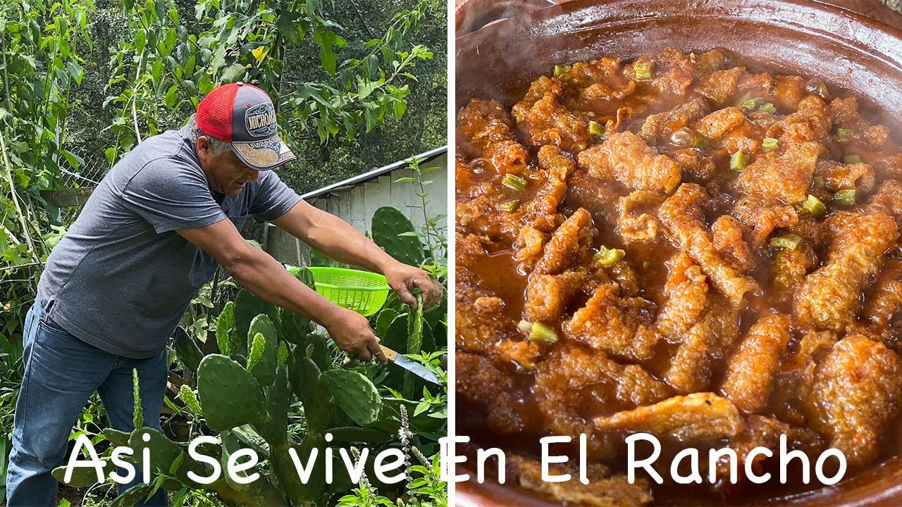 Lo Probé Con Mi Mamá Y Me Gusto Mucho Este Chicharrón.