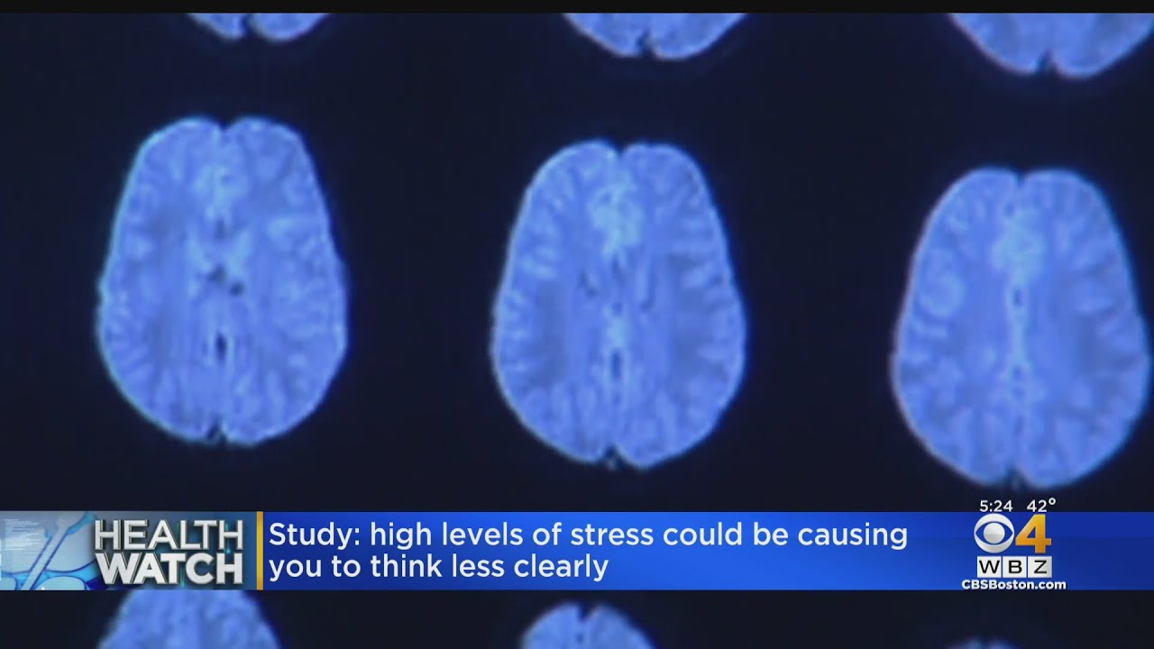 High levels of stress could cause you to think less clearly